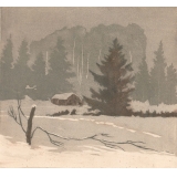№27а На Академической даче