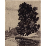 №38а У берега
