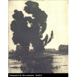 №556 Б.н. Два дерева