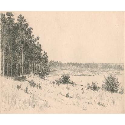 №18п В поле